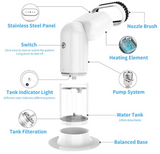 Electric Garment Steamer Portable Travel Hand Heading Ironing Machine 900 watts Design by Japan