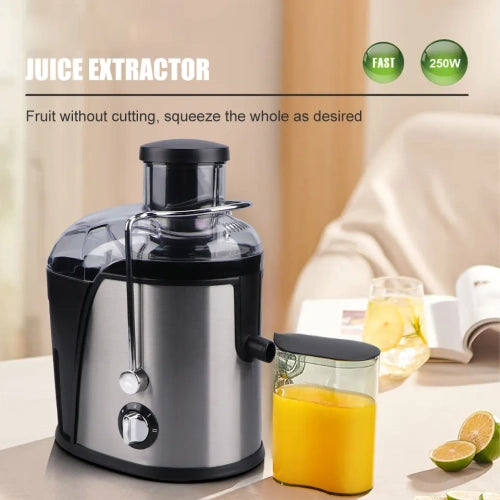 RAF R.2805 Electric Carrot Juicer hard fruit juicer extractor 500 watts 18000 RPM motor speed